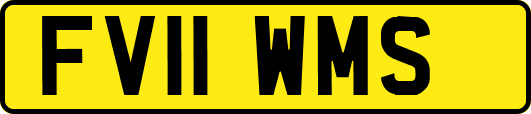 FV11WMS