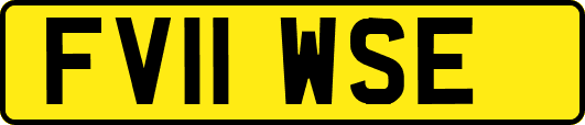 FV11WSE