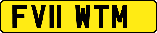FV11WTM