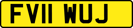 FV11WUJ