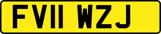 FV11WZJ