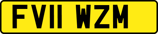 FV11WZM