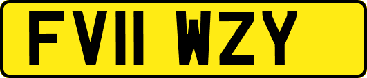 FV11WZY