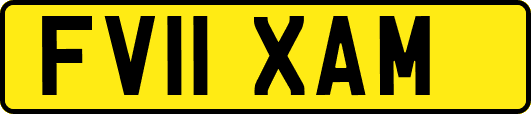 FV11XAM