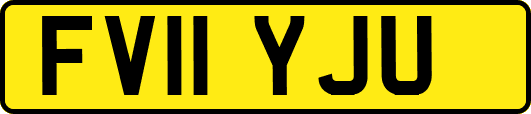 FV11YJU