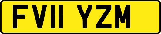 FV11YZM