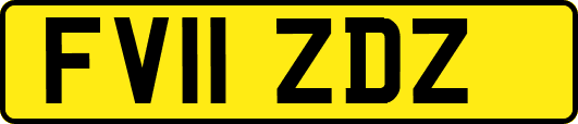 FV11ZDZ