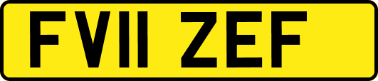 FV11ZEF