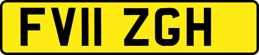 FV11ZGH