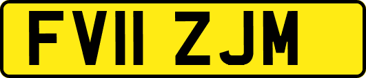 FV11ZJM