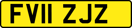 FV11ZJZ