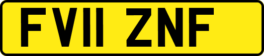 FV11ZNF