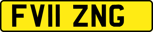 FV11ZNG