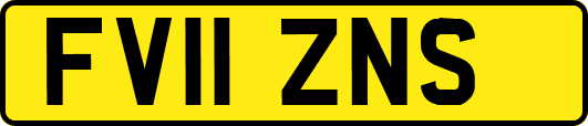 FV11ZNS