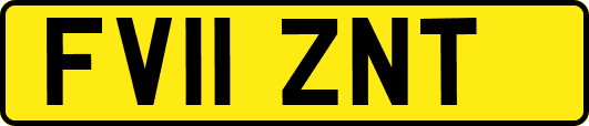 FV11ZNT