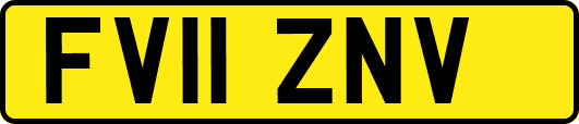 FV11ZNV
