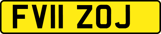 FV11ZOJ