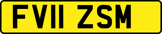 FV11ZSM