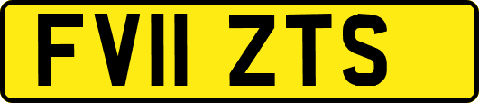 FV11ZTS