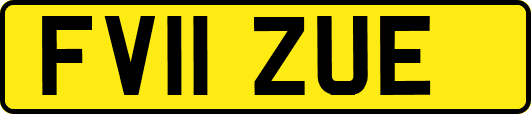 FV11ZUE