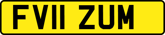 FV11ZUM