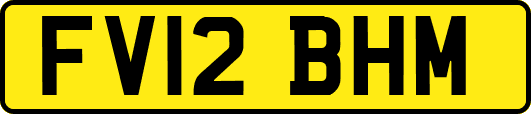FV12BHM