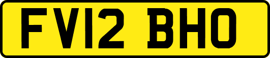 FV12BHO
