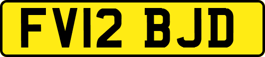 FV12BJD
