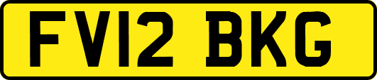 FV12BKG