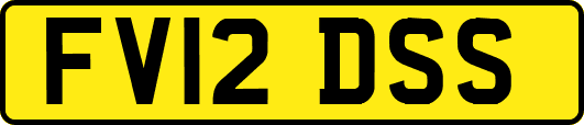 FV12DSS