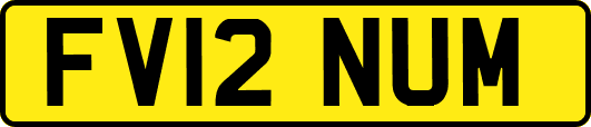 FV12NUM