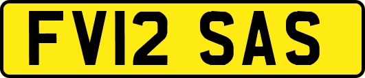 FV12SAS