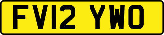 FV12YWO
