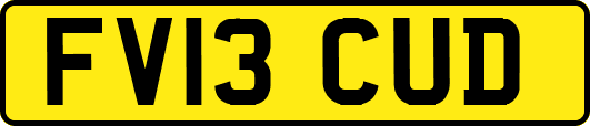 FV13CUD