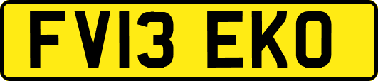 FV13EKO