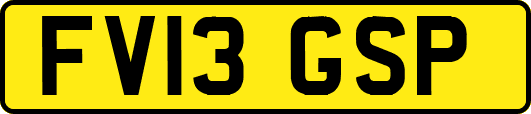FV13GSP