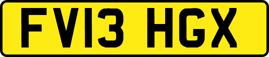 FV13HGX