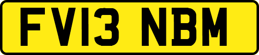 FV13NBM