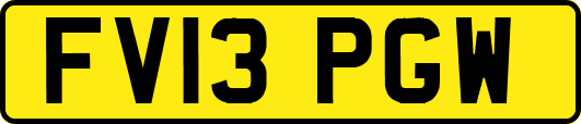 FV13PGW