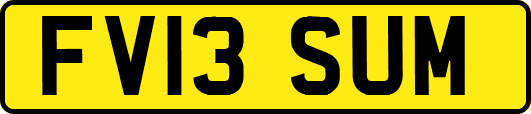 FV13SUM