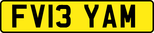 FV13YAM