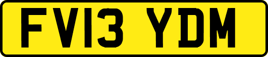 FV13YDM