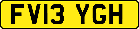 FV13YGH