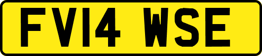 FV14WSE