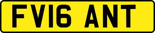 FV16ANT