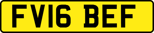 FV16BEF