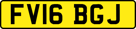 FV16BGJ