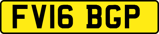 FV16BGP