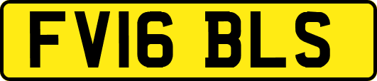 FV16BLS