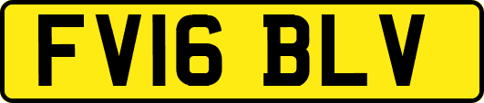 FV16BLV